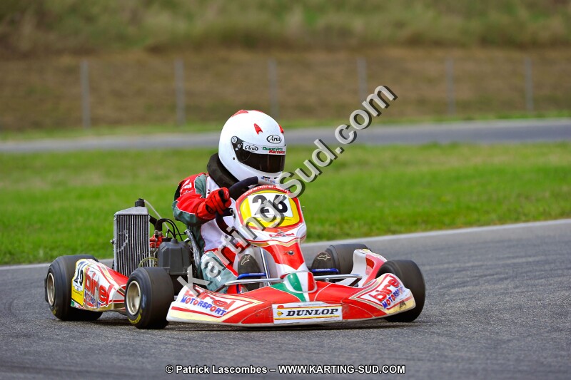 DSC_ (521).jpg